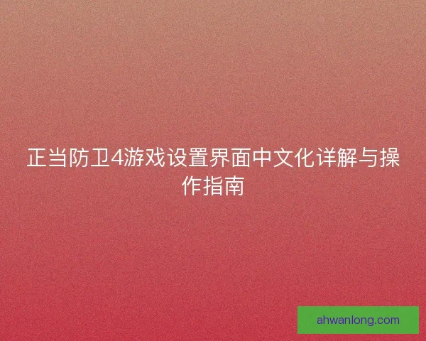正当防卫4游戏设置界面中文化详解与操作指南